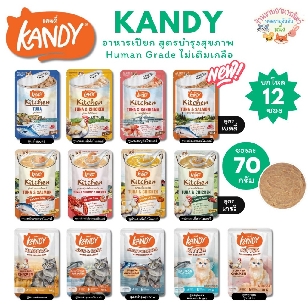 Kandy อาหารเปียกแคนดี้ Holistic Grain Free ทูน่าเนื้อขาว ไม่เติมเกลือ สูตรดูแลสุขภาพ ยกโหล 70g*12 ซอง