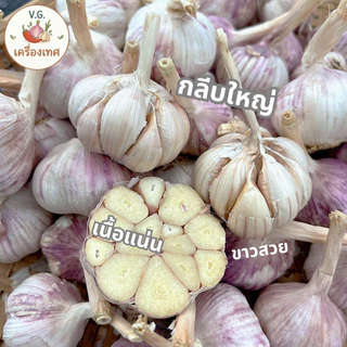 กระเทียมจีน ไซส์ใหญ่ หัวสวย ขาวแน่น ส่งตรงจากตลาดไท