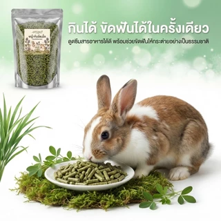 หญ้าอัดเม็ด อัลฟาฟ่าอัดเม็ดพรีเมียม Alfalfa 100% กระต่าย แพรี่ด็อก แกสบี้ ชินชิล่า เดกู เต่า 500กรัม