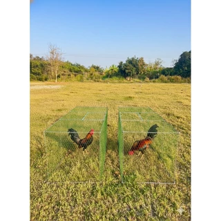 ลู่วิ่งไก่ชนขนาด 70 * 70 * 170 เซนติเมตร