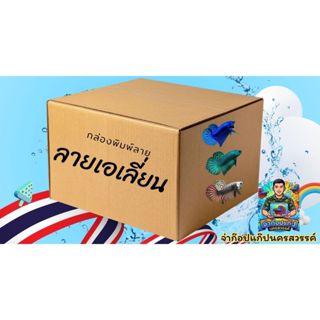 กล่องสำหรับใส่เจ้าชายเอเลี่ยน1หน่วย