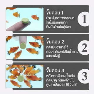 SPIRULINA​ 30g.​ สาหร่ายสไปรูนิน่าอัดเม็ดอาหารสำหรับกุ้งแคระและปลาซัคเกอร์​สวยงาม