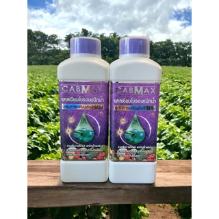 แคลเซียมโบรอนเข้มข้น CABMAX ยกลัง 6แถม6 ผลดกโต ติดง่าย ลดการหลุดร่วงเสิรมขั้วเหนียว C12
