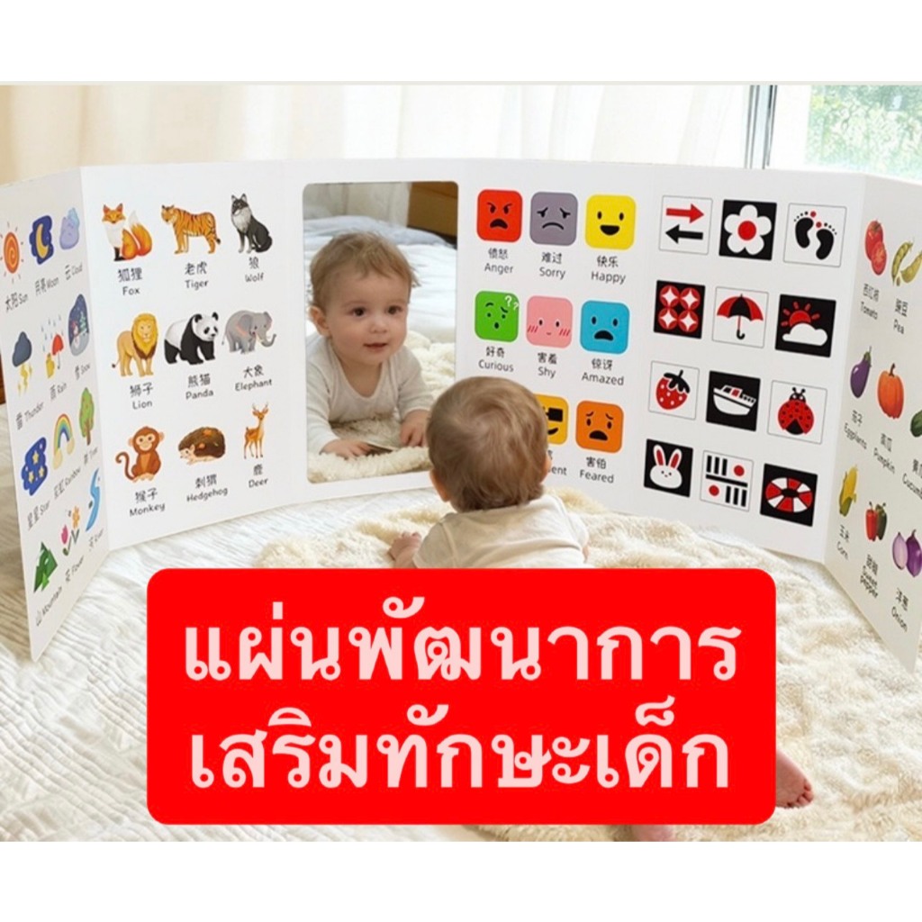 แผ่นพัฒนาการเด็ก เสริมทักษะเด็กแรกเกิด 0-12 เดือน