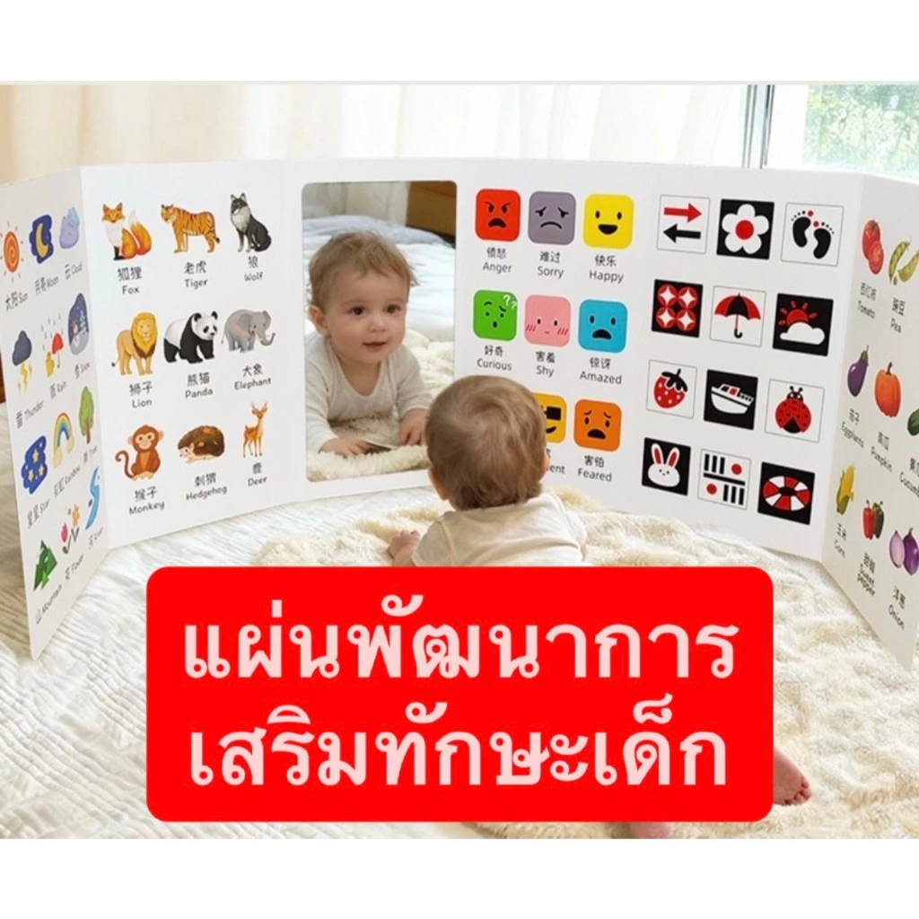 แผ่นพัฒนาการเด็ก เสริมทักษะเด็กแรกเกิด 0-12 เดือน