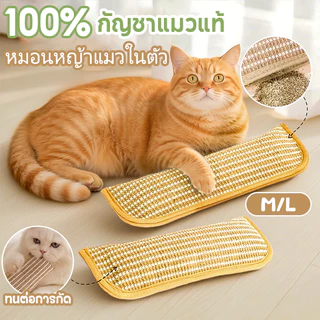 PETLUSCI® กัญชาแมวแท้ 100% หมอนที่มีแคทนิปในตัว เชือกปอสุดทน ป้องกันกระดูกสันหลังส่วนคอ หมอนแมว