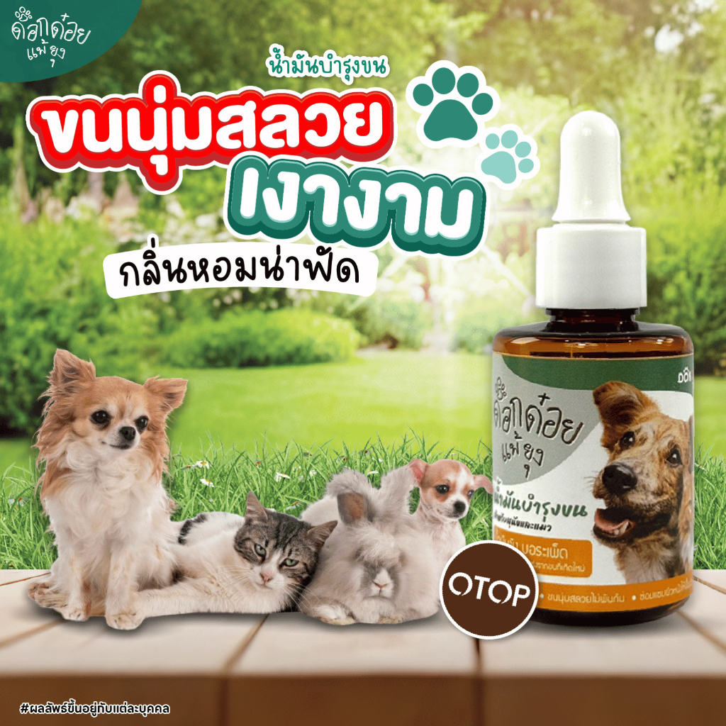 น้ำมันสมุนไพรบำรุงขน ด็อกด๋อยแพ้ยุง สูตรน้ำมันรังไหมเข้มข้น ลดขนร่วง | ขนพันกันจับตัวเป็นก้อน | ทำให้ขนสลวย | ขนาด 30 ml