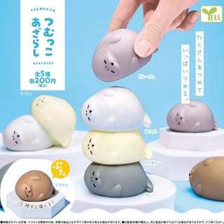 (เลือกลายได้) ร้านไทย พร้อมส่ง! กาชาปองแมวน้ำ กล่องจุ่มแมวน้…