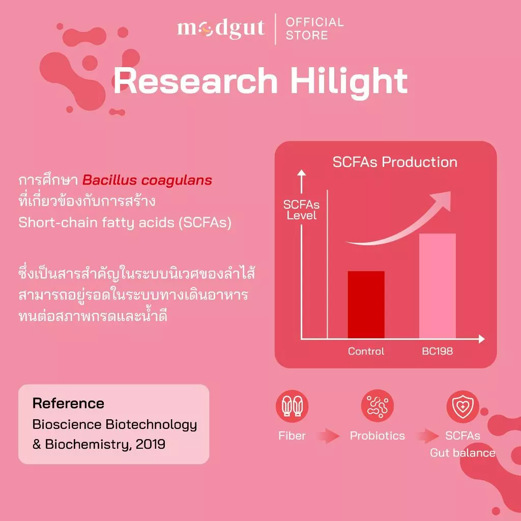 Modgut โพรไบโอติกส์ Probiotics++ สูตร Balance & Harmony สำหรับท้องผูก ช่วยสมดุลลำไส้  เซตทดลอง 7 ซอง thumbnail 7