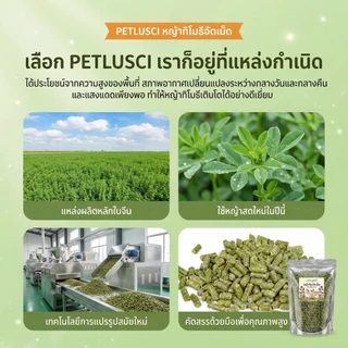 PETLUSCI® หญ้าอัลฟาฟ่าอัดเม็ด 500ก กัดฟันและทําความสะอาดฟัน ดูแลระบบย่อยอาหาร ลดกลิ่นไม่พึงประสงค์