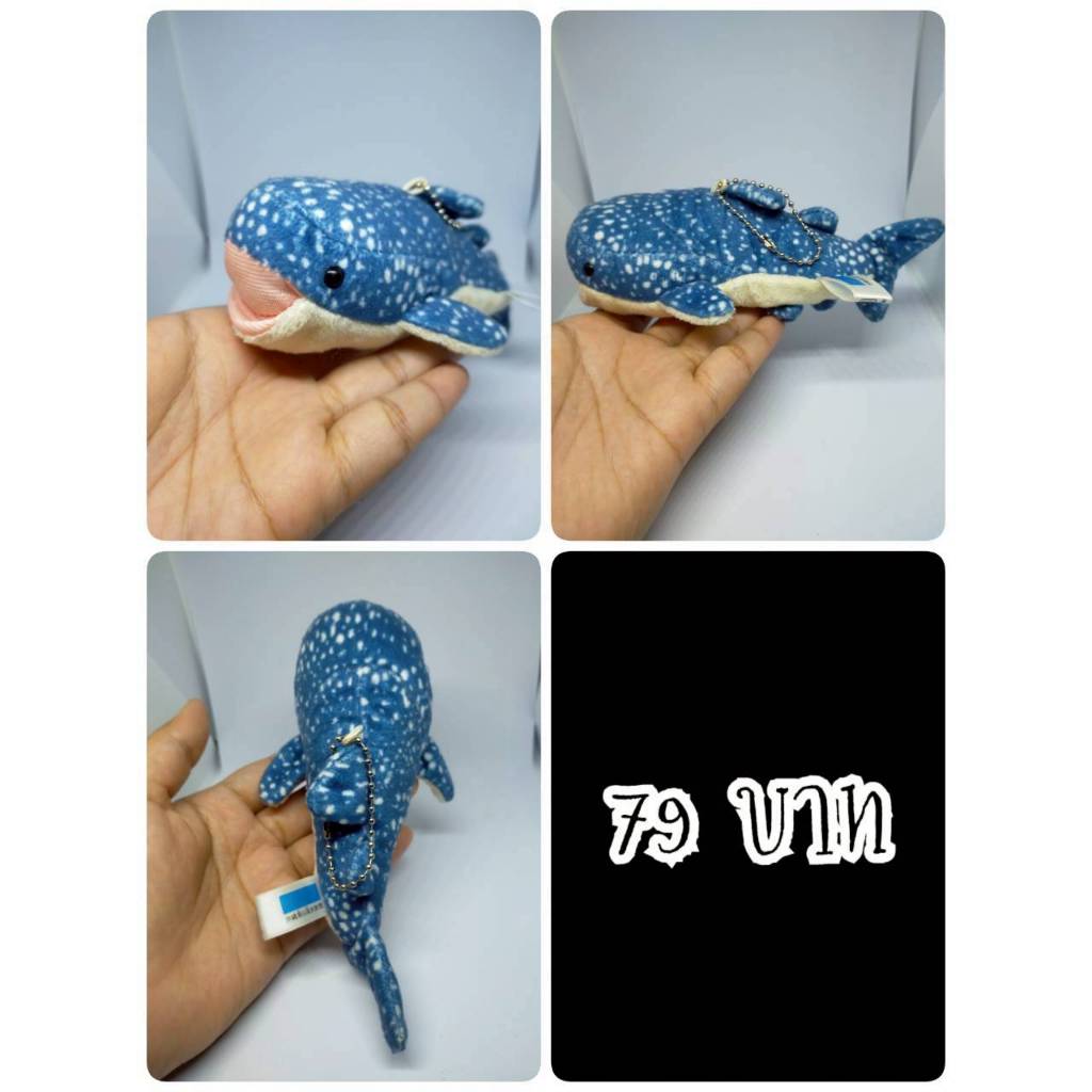 Whale Shark#ฉลามวาฬ#ปลา#Okinawa Churaumi Aquarium#งานพวงญี่ปุ่นมือสอง