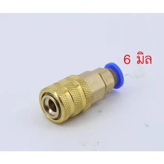 หัวเติมลมแบบแบบล็อก ( Coupler ) หางปลา,ปลดเร็ว 6 มิล และ 8 มิล