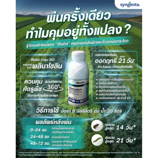 ซิโมดิส ไอโซไซโคลซีแรม ออกฤทธิ์ 2 ทาง ทั้งสัมผัสและกินตาย เพลี้ยไฟ เพลี้ยอ่อน หนอนเจาะผล แมลงดูดอื่นๆ