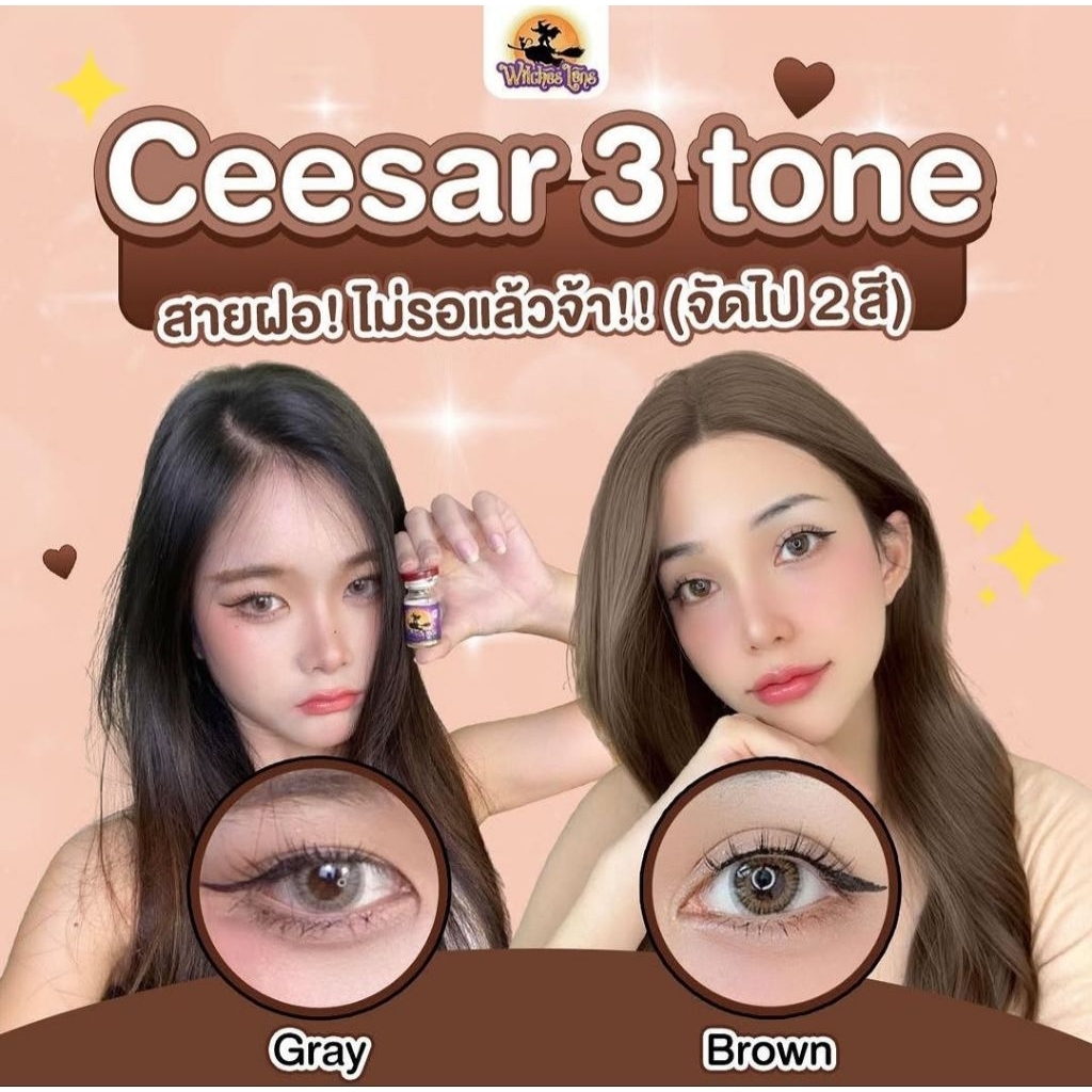 คอนแทคเลนส์ มี อย.ไทย รุ่น Ceesar 3 Tone สีเทา/ตาล Gray/Brown มีสายตาปกติ (0.00)  รายเดือน