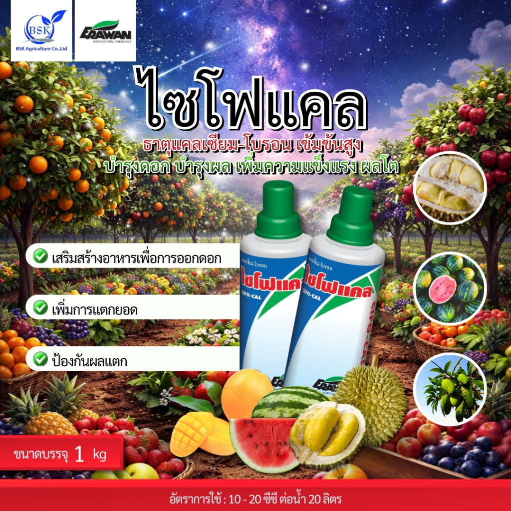 ไซโฟแคล ขนาด 100 ซีซี - 1 ลิตร (บ.เอราวัณ)