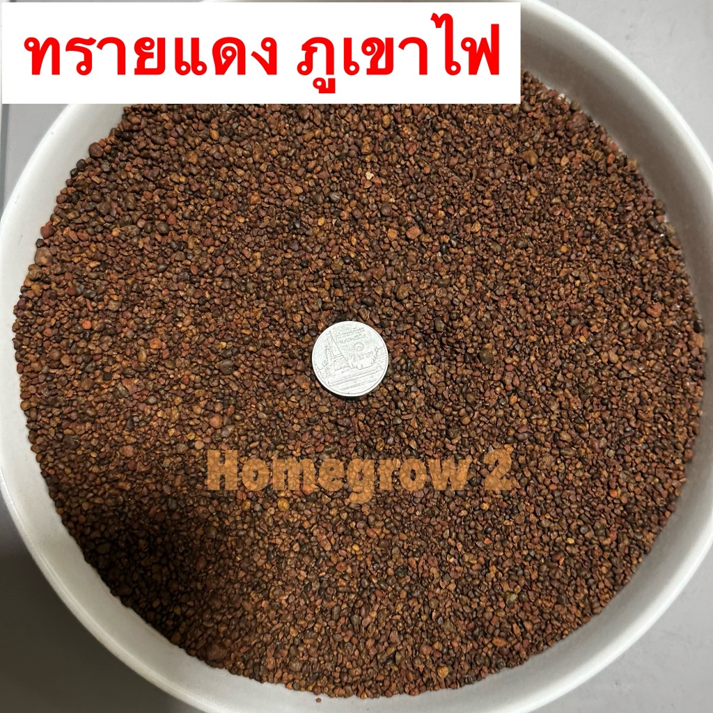 ทรายภูเขาไฟ แดง น้ำตาลแดง สีแดง ตู้ปลาช่อน ตู้ปลา รองพื้นตู้ โรยกระถาง คลุมหน้าดิน