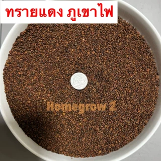 ทรายภูเขาไฟ แดง น้ำตาลแดง สีแดง ตู้ปลาช่อน ตู้ปลา รองพื้นตู้ โรยกระถาง คลุมหน้าดิน