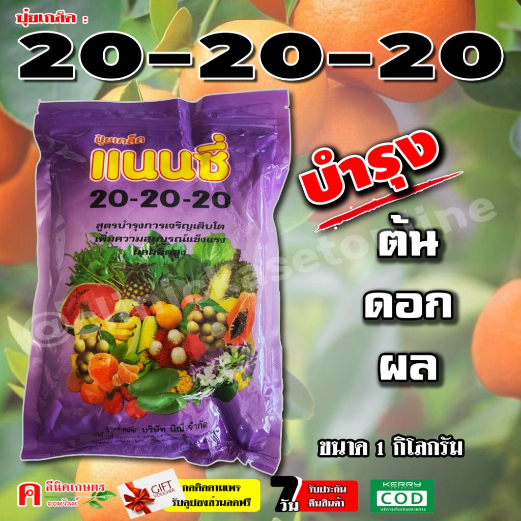 // 10 กิโลกรัม // ปุ๋ยเกล็ด 20-20-20 ( 1KG ) สูตรเสมอ ฮอร์โมนพืช อาหารเสริมสำหรับพืช บำรุงต้น ดอก ผล – โปรปัง