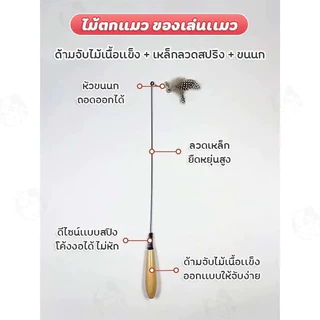 【PetZap】พร้อมส่ง COD ไม้แมว ไม้ล่อแมว ไม้ตกแมวขนนก 2 ชั้น มีเสียงกระดิ่ง ของเล่นแมวฝึกทักษะ ไม้ตกแมวแบบยาว ของเล่นแมว