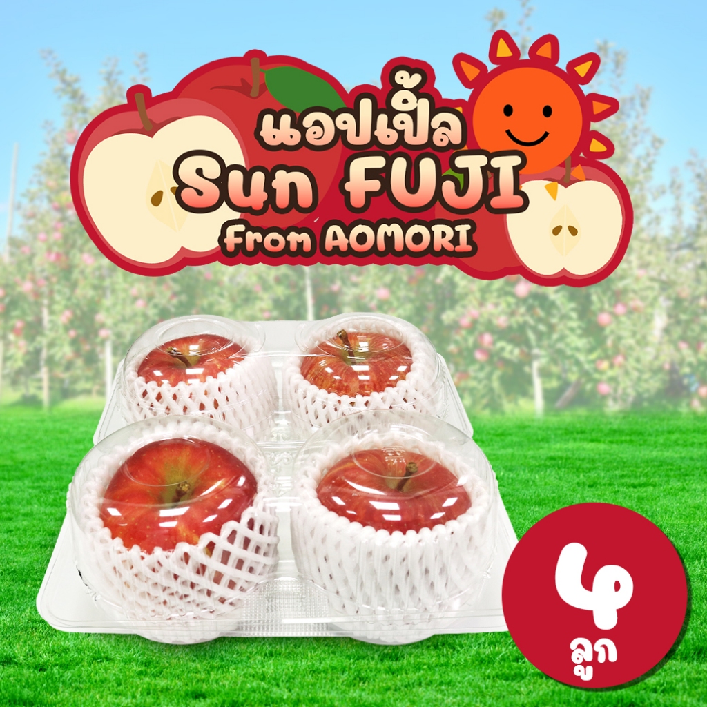 [แพ็คใส 4 ลูก] แอปเปิลซันฟูจิ จากเมืองอาโอโมริ - Sun Fuji Apple from Aomori