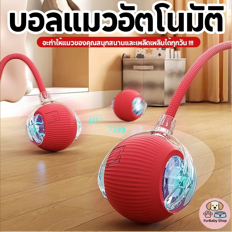 【FurBaby】พร้อมส่ง🔥ลูกบอลแมว บอลแมวอัตโนมัติ ชาร์ตแบตได้ ของเล่นแมว สมาร์ทไฟฟ้า หมุนได้ ของเล่นแมวโต้ตอบ ของใช้แมว