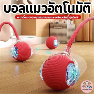【FurBaby】พร้อมส่ง🔥ลูกบอลแมว บอลแมวอัตโนมัติ ชาร์ตแบตได้ ของเล่นแมว สมาร์ทไฟฟ้า หมุนได้ ของเล่นแมวโต้ตอบ ของใช้แมว