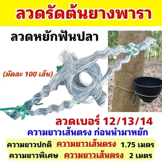 ลวดรัดต้นยางพารา ลวดหยักฟันปลาเบอร์ 12/13/14 มีทั้งความยาวปกติและความยาวพิเศษให้เลือก (มัดละ 100 เส้น)รับน้ำหนักได้ดี