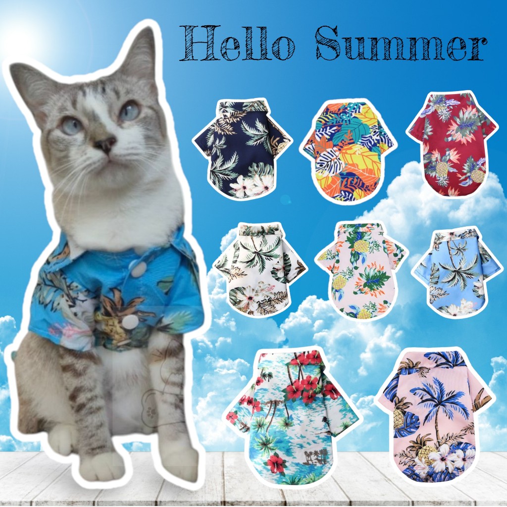 (B06)เสื้อสงกรานต์สุนัข - แมว (*พร้อมส่งจากไทย!!*) เสื้อฮาวาย ธีมSummer เสื้อเชิ๊ตสัตว์เลี้ยง สีสันสดใส สินค้าสวยตรงปก
