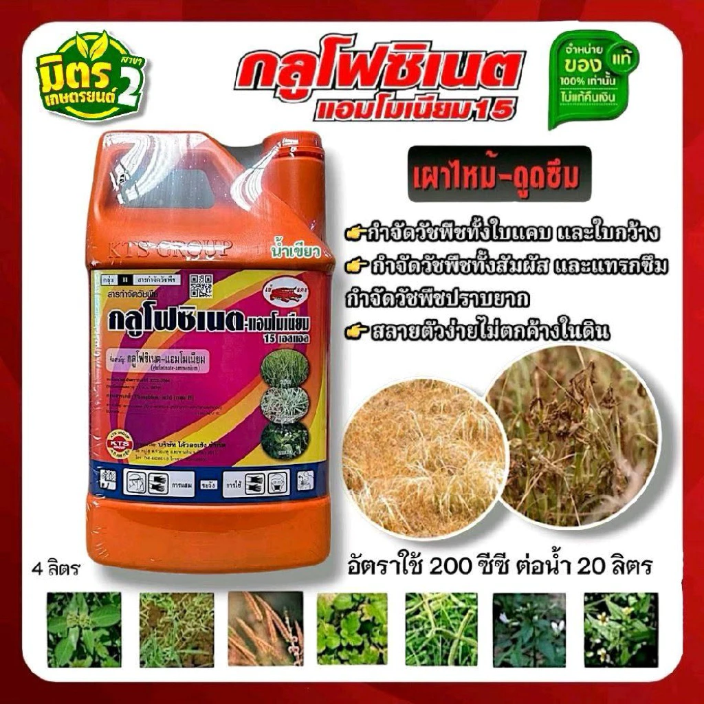 กลูโฟซิเนต แกลอนส้ม (เข้)ขนาด4ลิตร ปราบเรียบวัชพืช ในนา ในสวน ในไร่ ทั้งใบแคบและใบกว้าง.