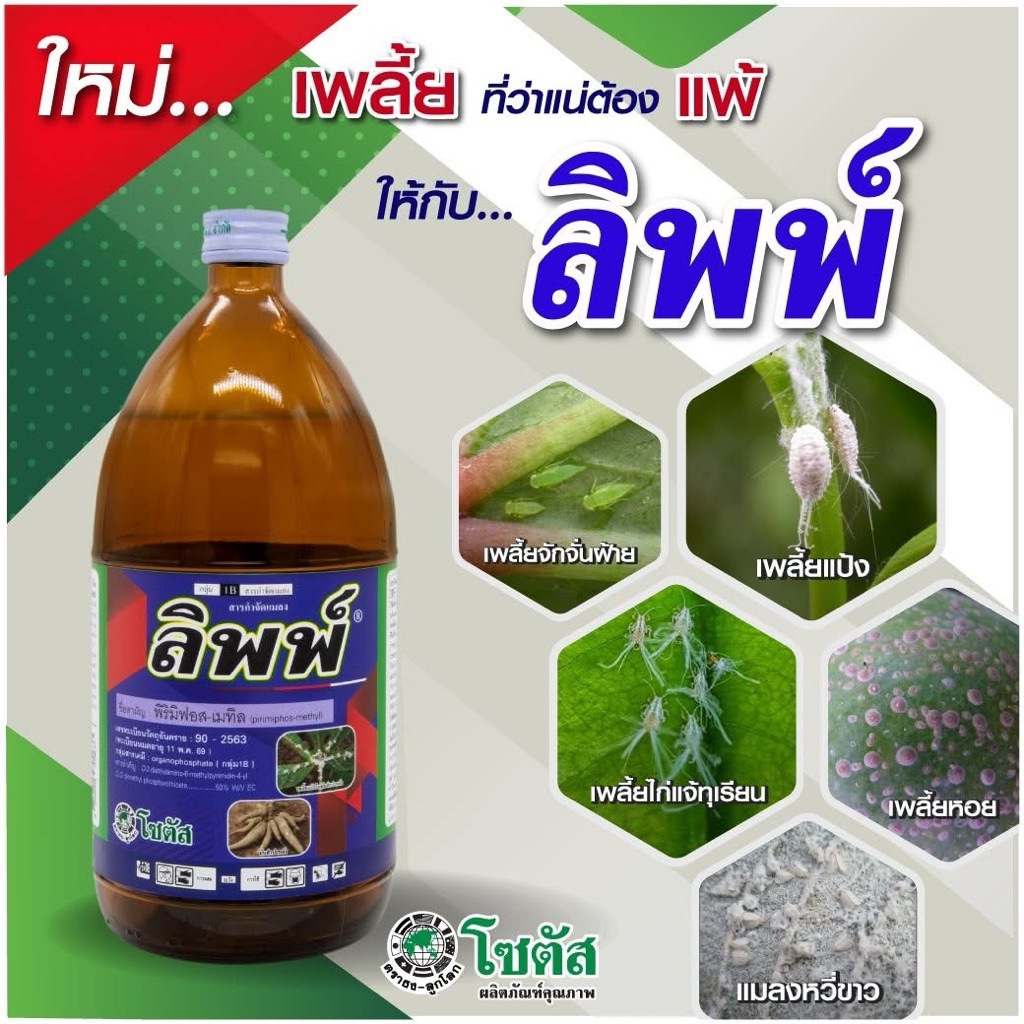 ลิพพ์ โซตัส พิริมิฟอส-เมทิล 1ลิตร กำจัดแมลงได้หลายชนิด เช่น เพลี้ยหอย เพลี้ยแป้ง เพลี้ยไก่แจ้ เพลี้ยจักจั่น หนอนเจาะ