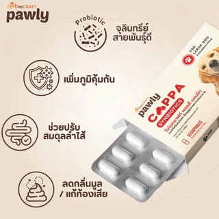 Pawly Cappa (สำหรับสุนัข) ดูแลลำไส้ เสริมภูมิ ขับถ่ายดี ลดกลิ่นมูล - [1แผง - 10แคปซูล]