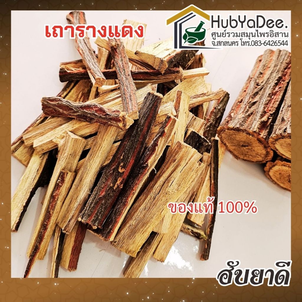 ​รางแดง เถารางแดงอบแห้ง (เถาว์วัลย์เหล็ก) สมุนไพรแท้ 100% สะอาด ไร้ฝุ่น อบด้วยตู้อบพลังแสงอาทิตย์