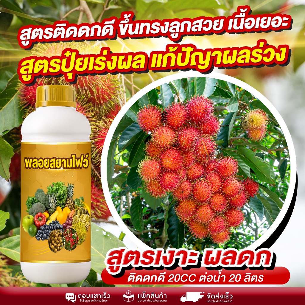 สูตรเด็ดเงาะติดดก ลูกสวย เนื้อแน่น แก้ปัญหาผลร่วงได้จริง! ตัวช่วยเร่งผล เพิ่มขนาด ให้ลูกแดงสวยทั้งช่อ บำรุงผลให้โตไว