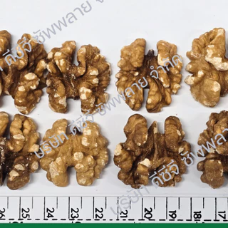 วอลนัทดิบ แบบเต็มเม็ด วอนัท Raw Walnuts Kernel Whole วอลนัทแกะเปลือก วอลนัทเนื้อล้วน