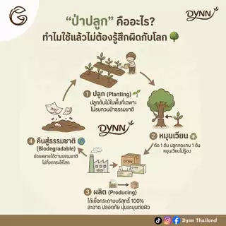 DYNN (ยกลัง 10 ห่อ) ทิชชู่แบบแขวน กระดาษเช็ดหน้า ผลิตจากเยื่อไม้บริสุทธิ์ 100% ปลอดภัยต่อผิว หนา 4 ชั้น แบรนด์ดินน์