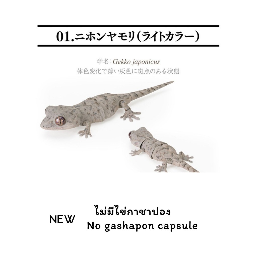 โมเดล Japanese Gecko (Light Color) Bandai Gashapon SCHLEGEL’S  ตุ๊กแก จิ้งจก กาชาปอง