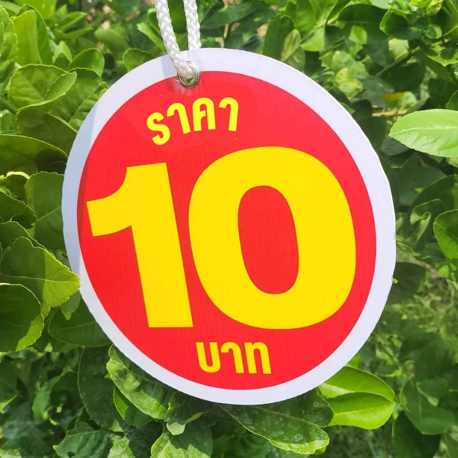 ป้ายราคากลมสองด้าน ขนาด 12-20 cm ฟิวเจอร์บอร์ด4มิล เจาะรูห้อย