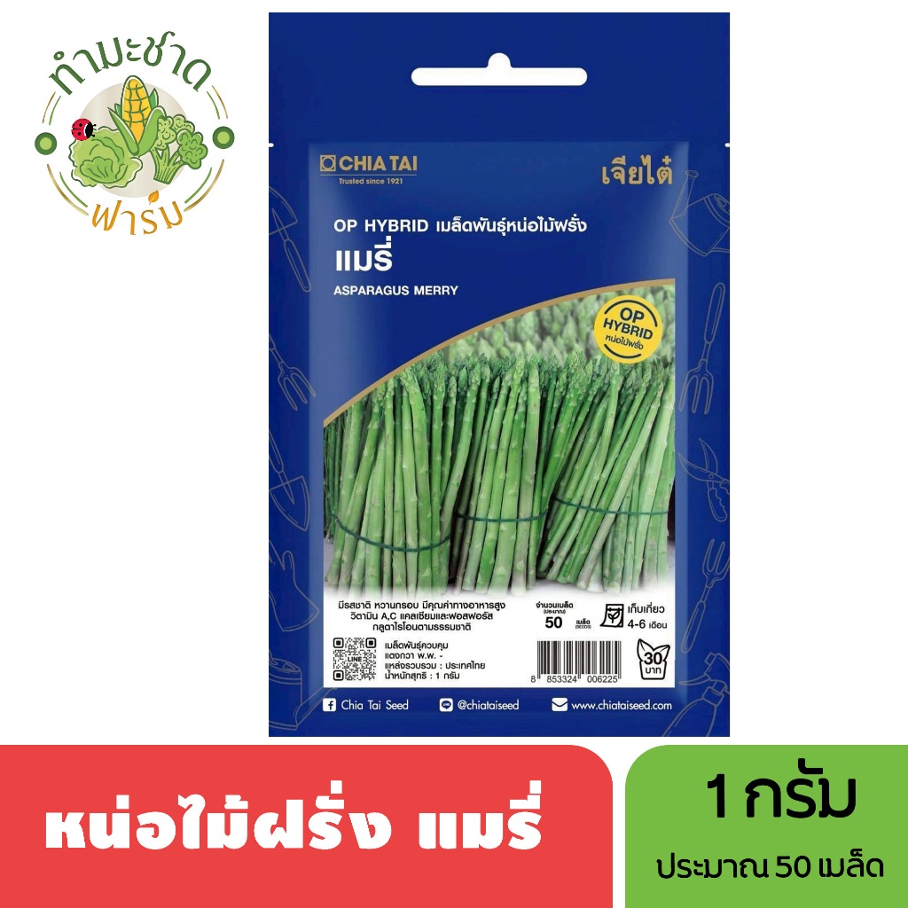 เจียไต๋ (Easy) เมล็ดพันธุ์ หน่อไม้ฝรั่งแมรี่ ขนาด1กรัม ประมาณ50เมล็ด Asparagus หน่อไม้ฝรั่ง เมล็ดพันธุ์พืช เมล็ดผัก ปลูก