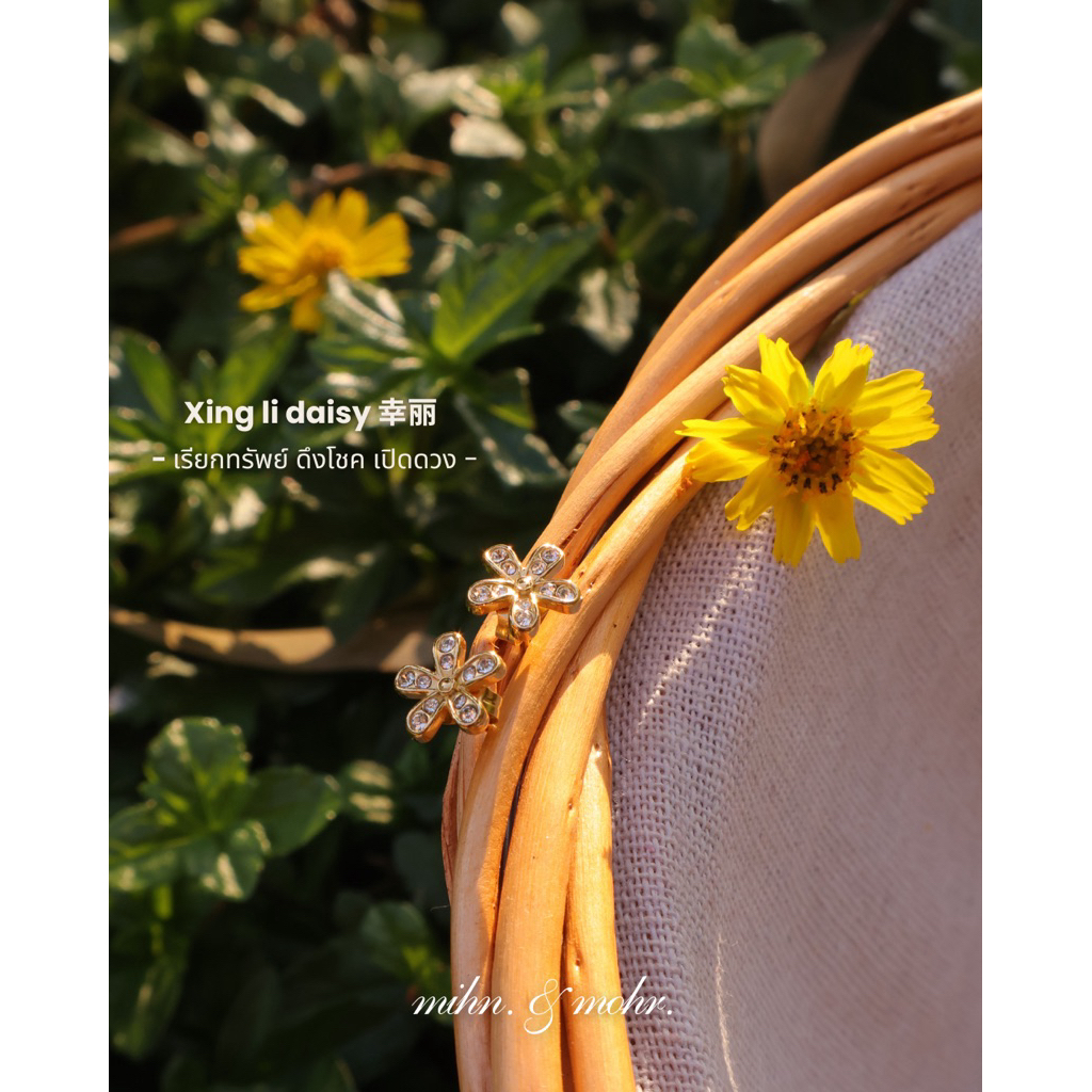 mohr. - ต่างหู ซิงลี่เดซี่ 🌼 ต่างหูเดซี่เรียกทรัพย์ ดึงโชค เปิดดวง สายมู l พลังงานจีน / (ใส่ติดตัวได้)