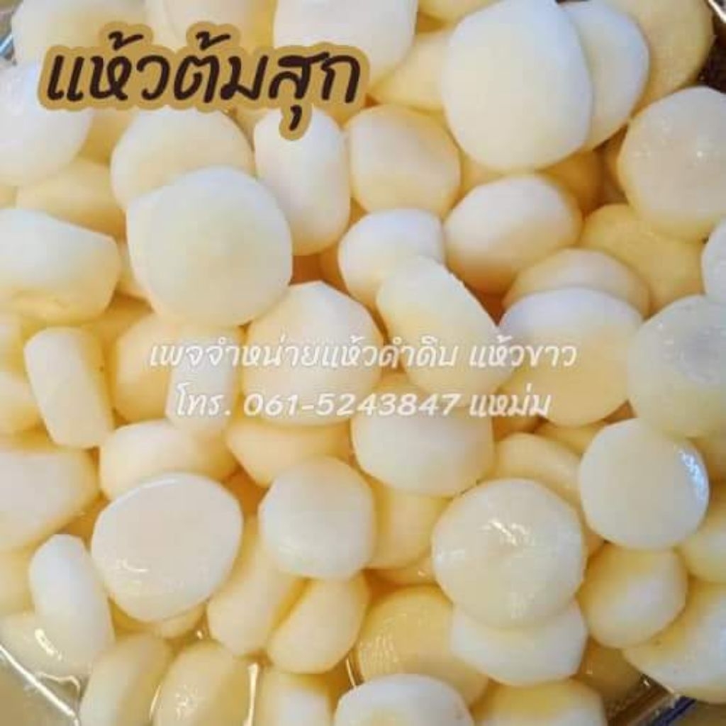 แห้วต้มสุก น้ำหนัก 1,000 กรัม หรือ 1 กิโลกรัม ส่งตรงจากสุพรรณบุรี