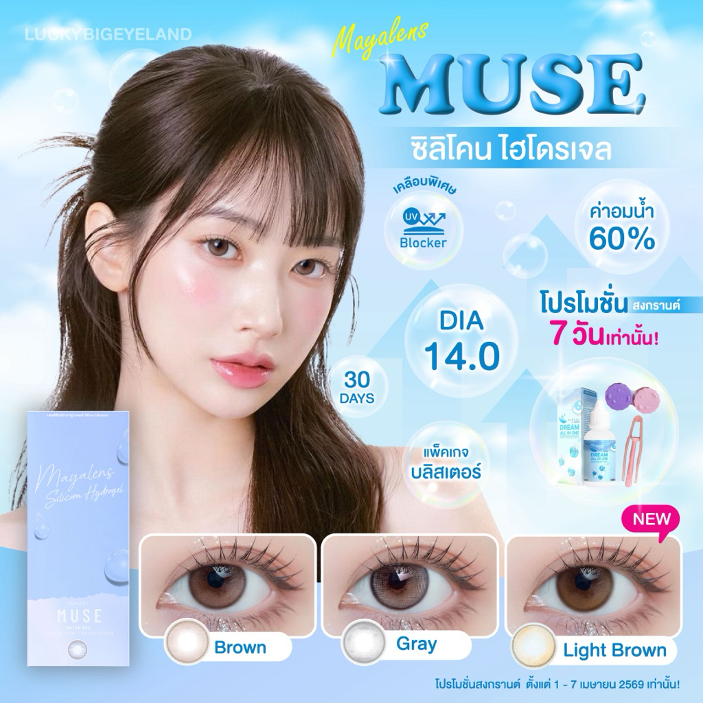 (โปรสงกรานต์1-7 แถมทุกคู่) Premium Lens รุ่น Muse Brown/Gray/Light Brown คอนแทคเลนส์ ซิลิโคนไฮโดรเจล