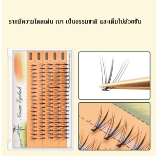 พร้อมส่ง🛻ขนตาปลอม 10D/20D/30D/40D 8-16mm มีกาวในตัว ขนตาต่อ ขนตาช่อ ขนมิงค์ธรรมชาติ ชุดขนตาถาว กาวติดขนตาปลอม