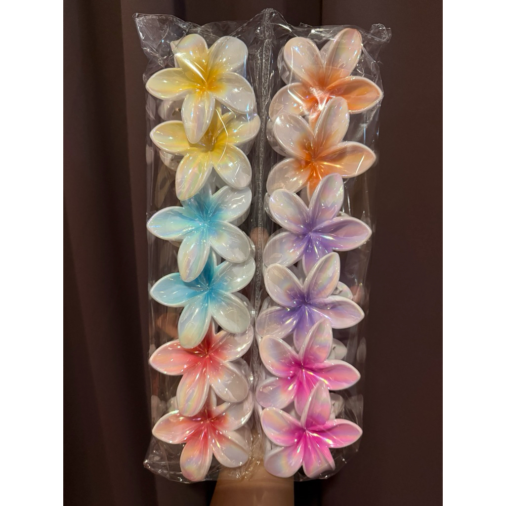 กิ๊ฟแบบงับ สีพื้น /สีใส 12ชิ้น สินค้าพร้อมส่ง