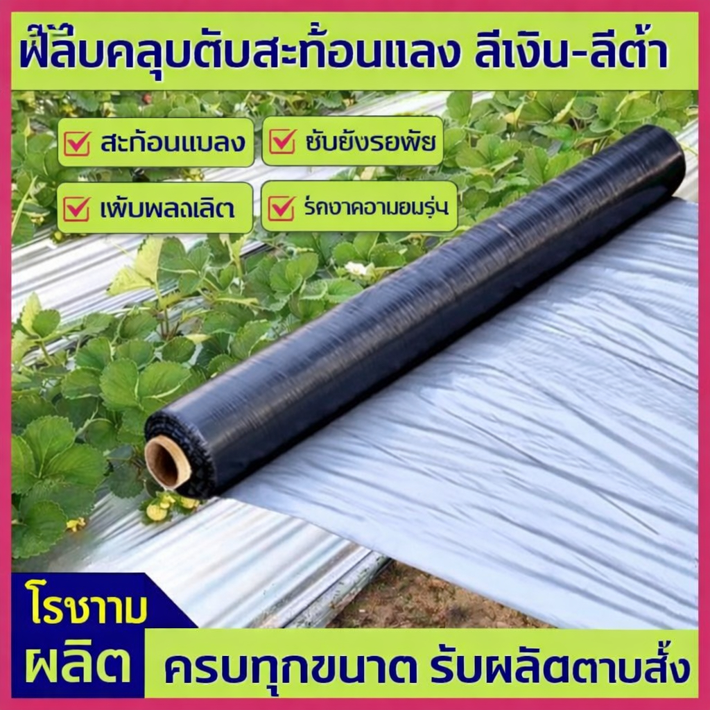พลาสติกคลุมดินสีดำเงิน 0.8/1/1.2x360ม. กันวัชพืช ปลูกผัก เพิ่มอุณหภูมิดิน คลุมแปลงไร่ ทนทาน กันน้ำ กันรังแค ใช้เพาะปลูกส