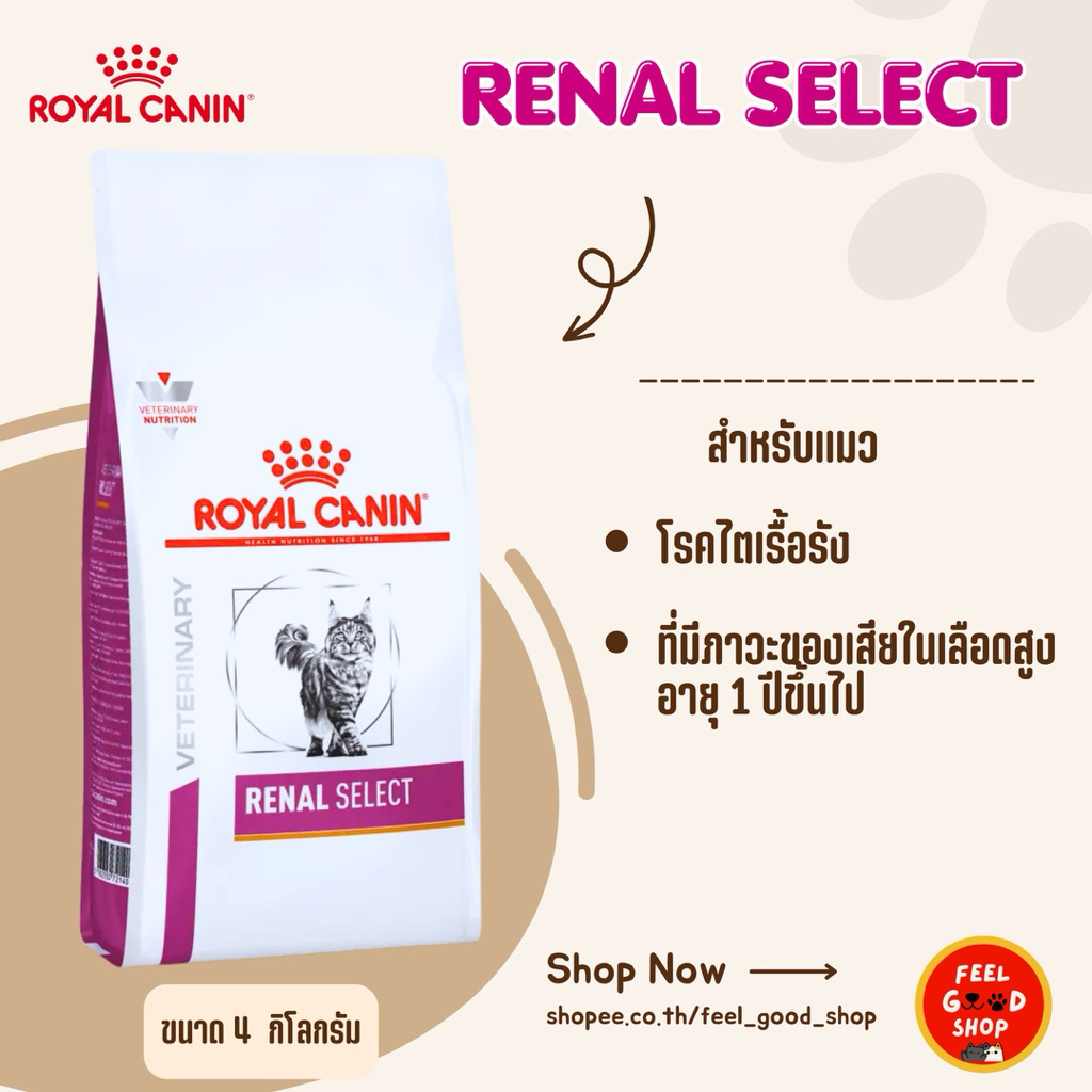 Royal canin Renal select cat (4kg) อาหารแมวสำหรับโรคไต (หมดอายุ 12/2026) ราคา ถูกที่สุด ดีลบีเคเค