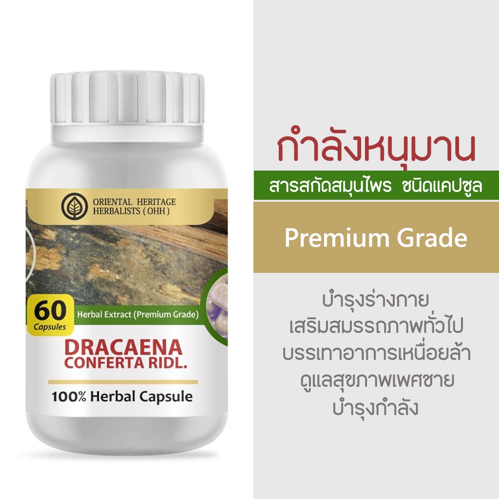 กำลังหนุมาน Dracaena Conferta Ridl Herb 100% 60 Cap. (เกรดพรีเมี่ยม) จัดส่งไว ส่งของทุกวัน