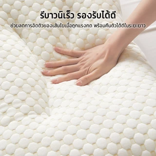 หมอน หมอนสุขภาพ หมอน แก้ปวดคอ ต้านเชื้อแบคทีเรีย หมอนรองคอ การยศาสตร์ 19x29x6นิ้ว (48x74x15ซม)