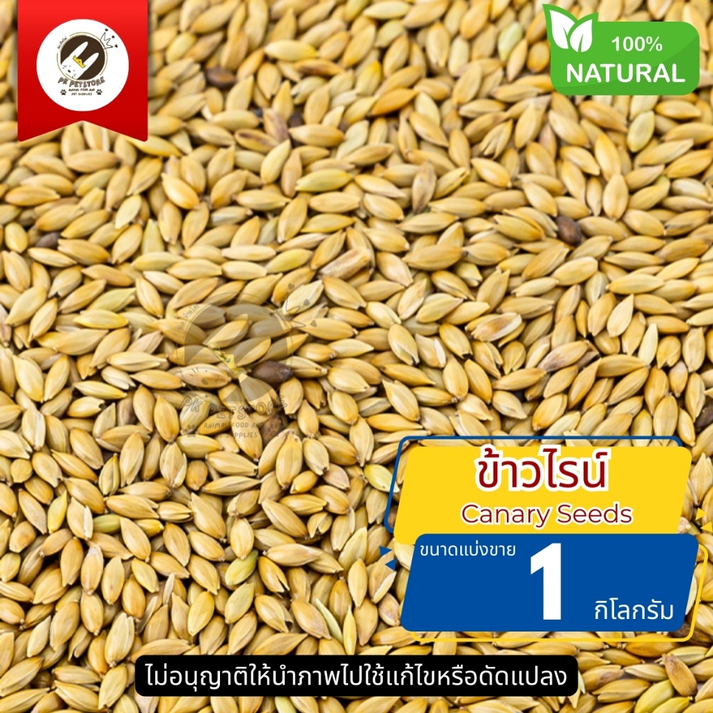 ข้าวไรน์ Canary Seeds ธัญพืช Seed สำหรับ นกทุกสายพันธุ์ หนูแฮมเตอร์ กระรอก และสัตว์ฟันเทะ (แบ่งขาย)