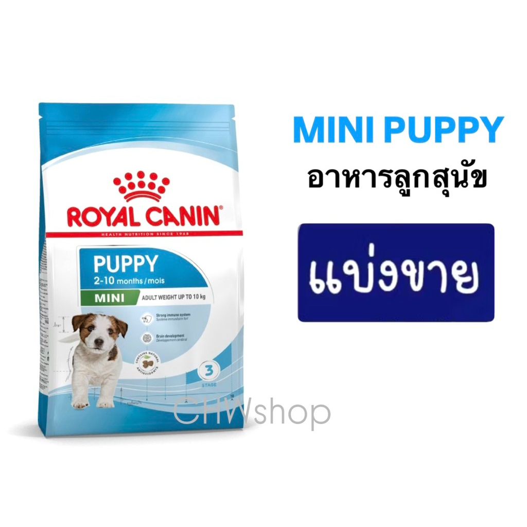 *แบ่งขาย* Royal Canin ลูกสุนัข สูตร Mini Puppy สำหรับสุนัขอายุ 2-10 เดือน ราคา ถูกที่สุด ดีลบีเคเค รูปภาพหลัก