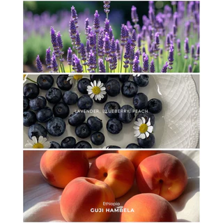 ANNIE - Ethiopia Guji Hambela Buku Abel Natural คั่วอ่อน